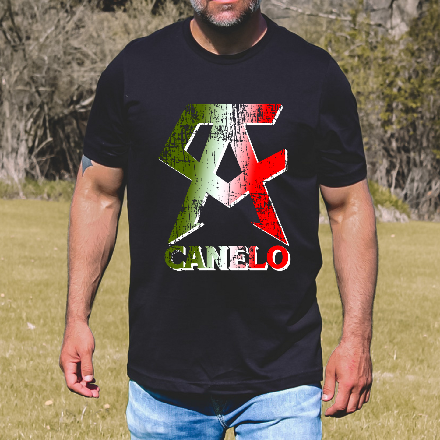 Boxing Match Mexican Flag Design Tee
