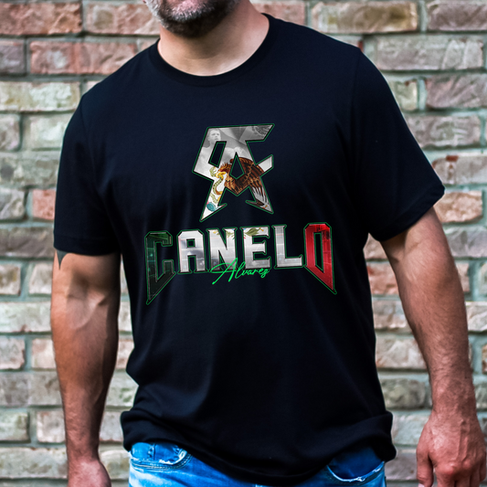 Punch Power Tee with Boxing Mexican Flag Logo Fight Graphic